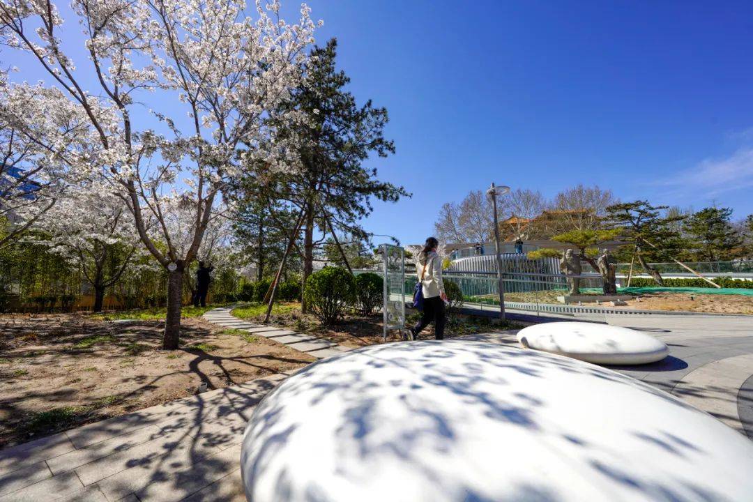 藝術與自然的完美融合 “東美園”獲北京園林設計一等獎:園林設計
